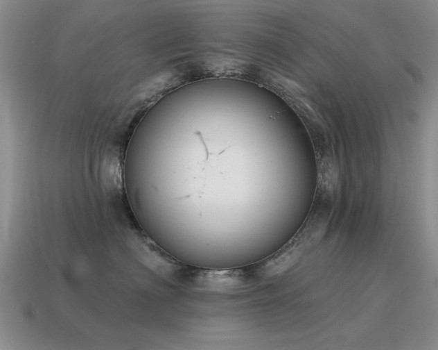 X0000115610622200911101428