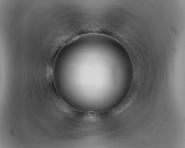 X0000115610624200911101428