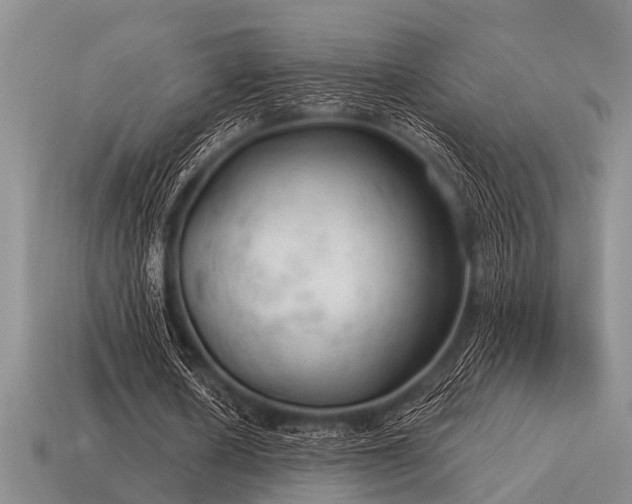 X0000115610626200911101428