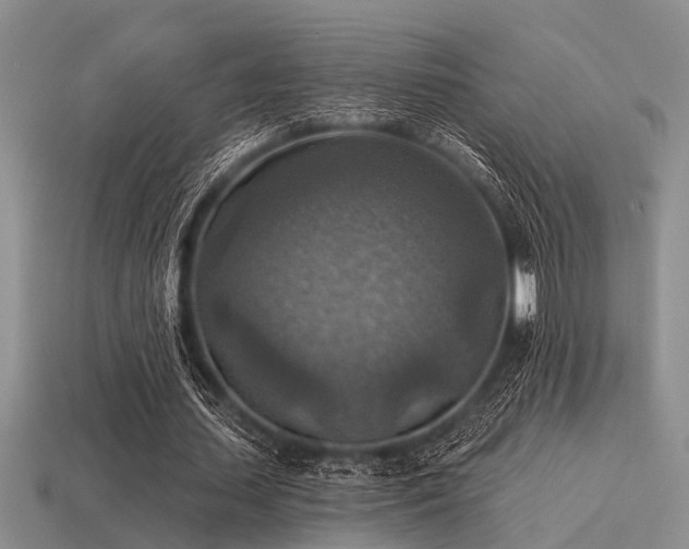 X0000115610627200911101428