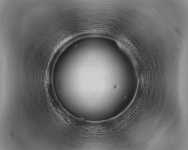 X0000115610628200911101428