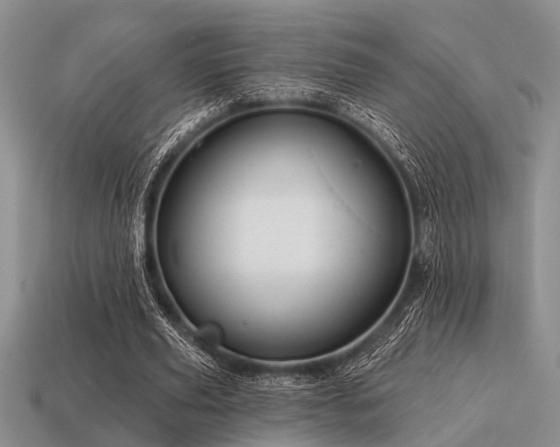 X0000115610629200911101428