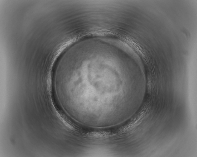 X0000115610630200911101428