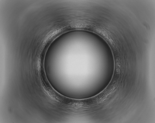 X0000115610631200911101428