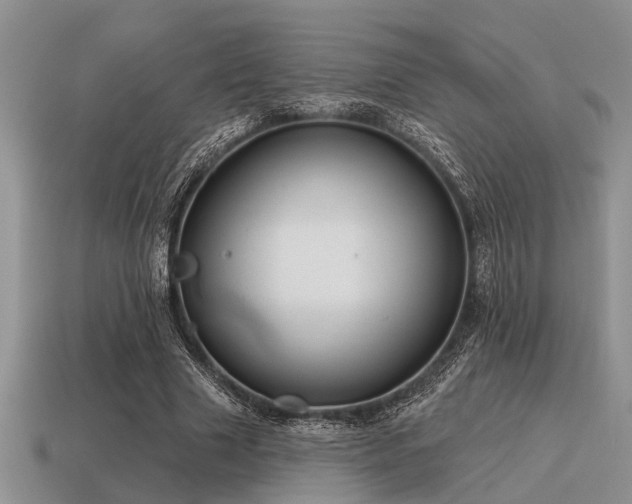 X0000115610633200911101428