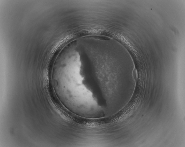 X0000115610634200911101428