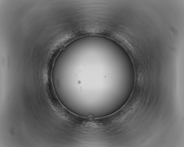 X0000115610635200911101428