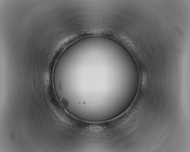 X0000115610636200911101428