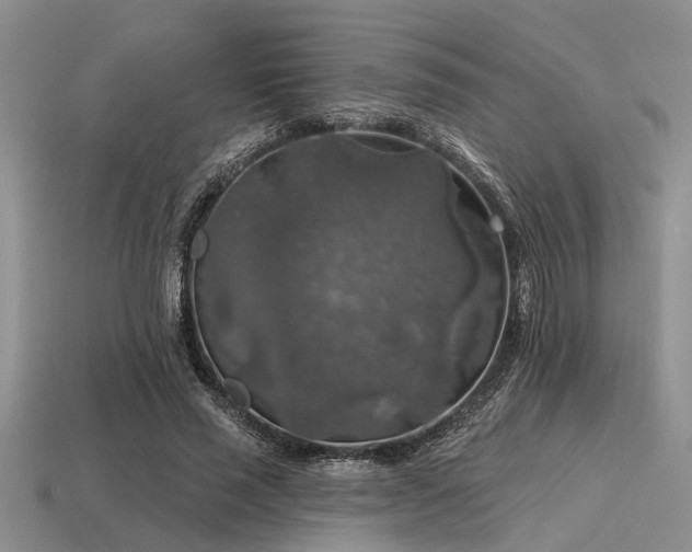 X0000115610637200911101428