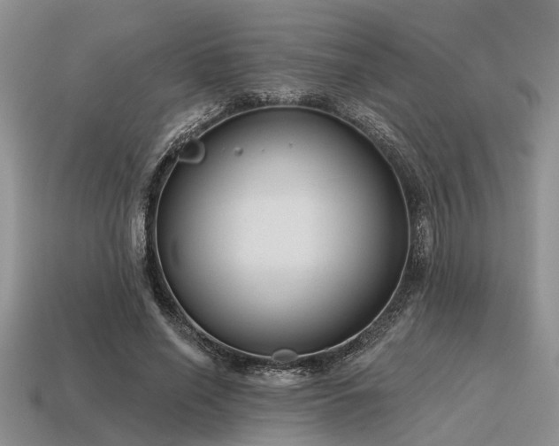 X0000115610638200911101428