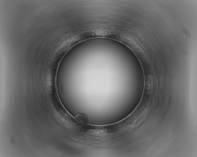 X0000115610639200911101428