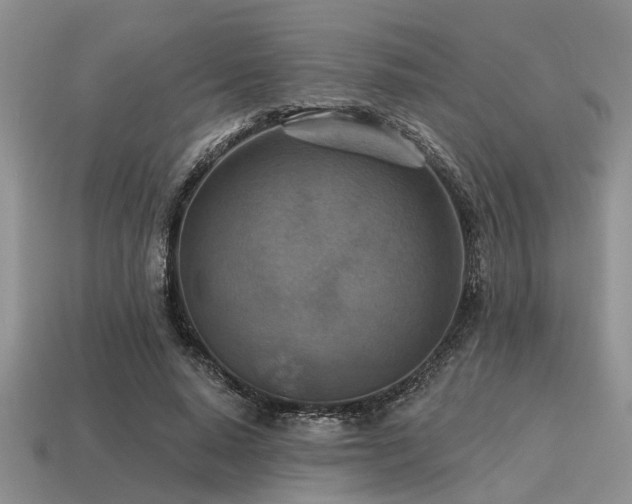 X0000115610640200911101428