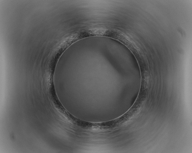 X0000115610641200911101428