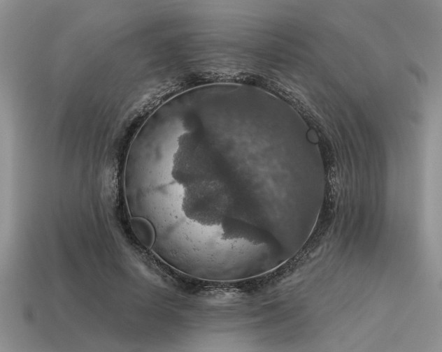 X0000115610642200911101428