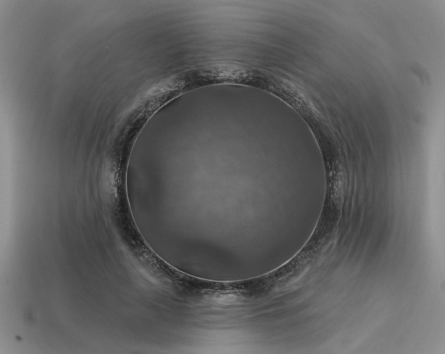 X0000115610643200911101428