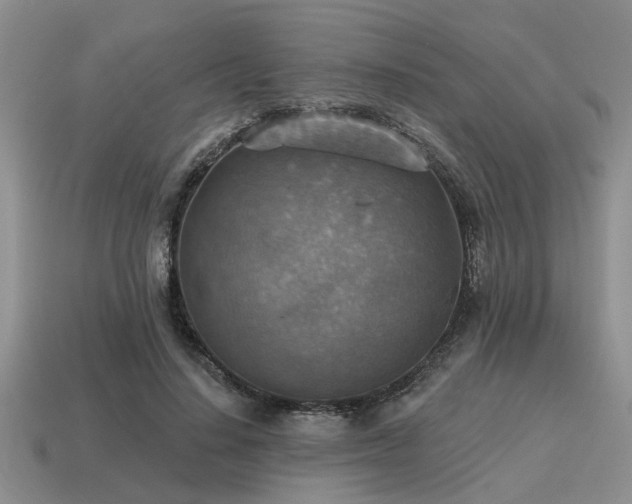 X0000115610644200911101428