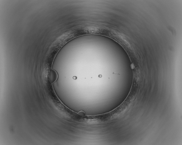 X0000115610645200911101428