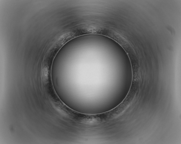 X0000115610646200911101428