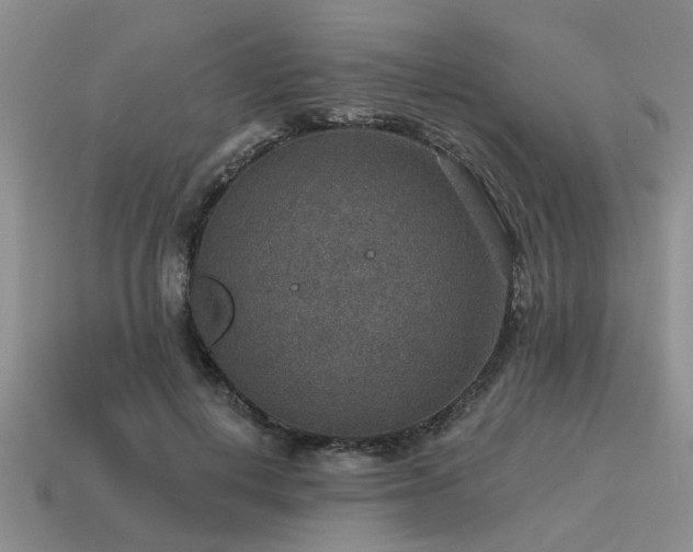 X0000115610648200911101428