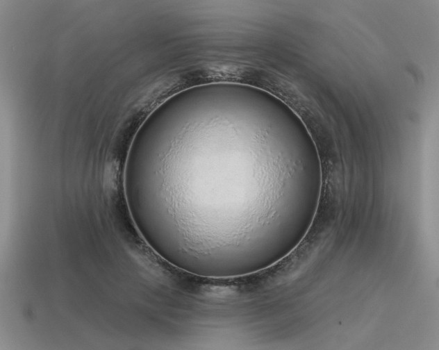 X0000115610649200911101428