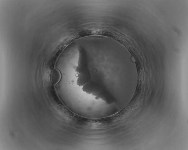 X0000115610650200911101428