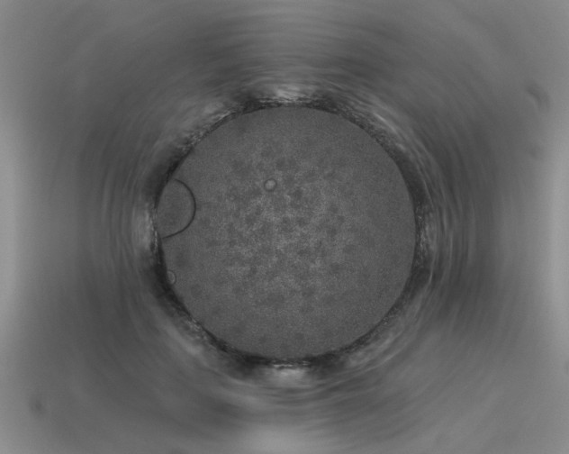 X0000115610651200911101428