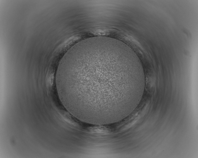 X0000115610652200911101428