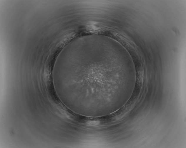 X0000115610653200911101428