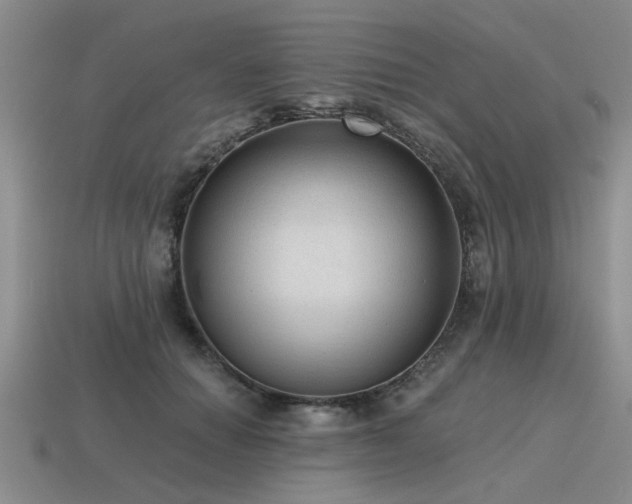 X0000115610654200911101428