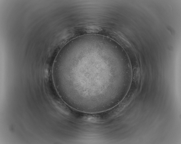 X0000115610655200911101428