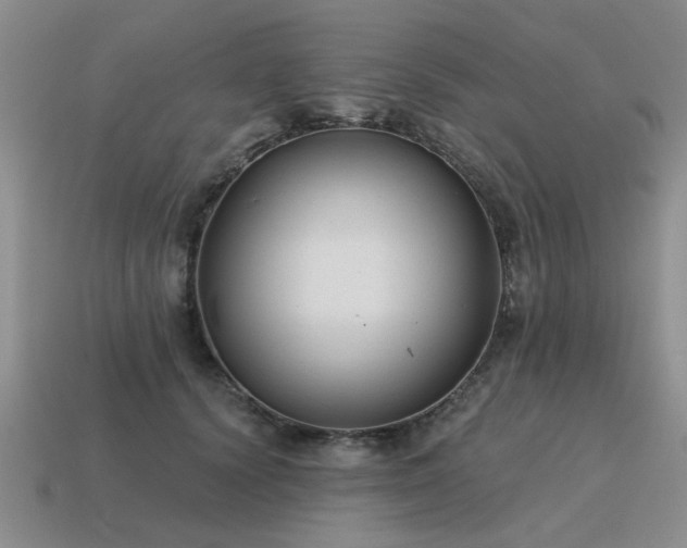 X0000115610656200911101428