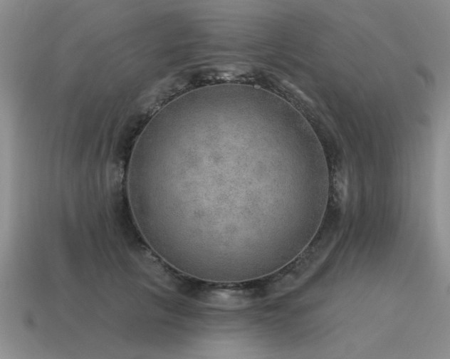 X0000115610657200911101428