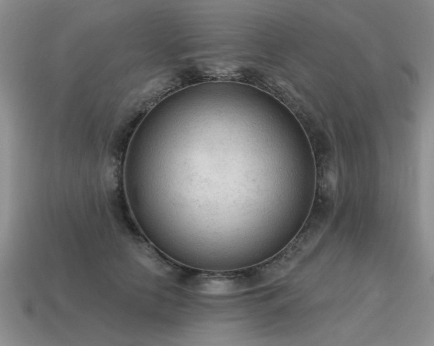 X0000115610658200911101428