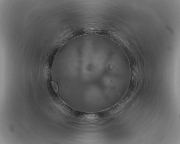 X0000115610659200911101428