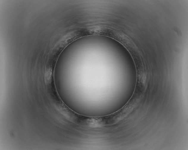 X0000115610660200911101428