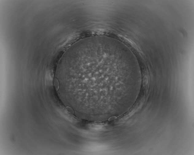 X0000115610661200911101428