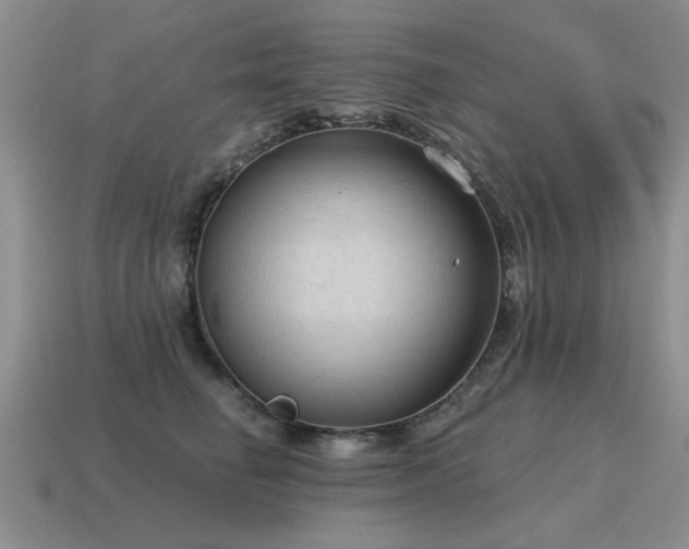 X0000115610662200911101428