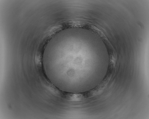 X0000115610663200911101428