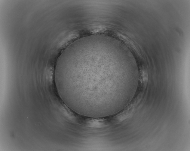 X0000115610664200911101428