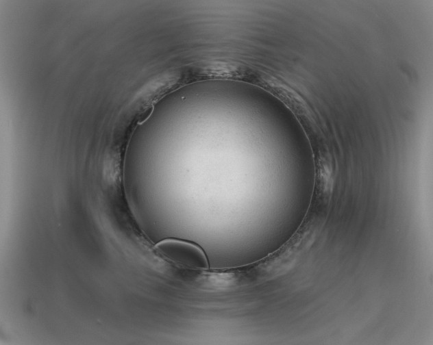 X0000115610665200911101428