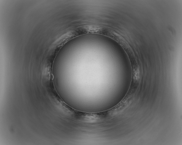 X0000115610666200911101428