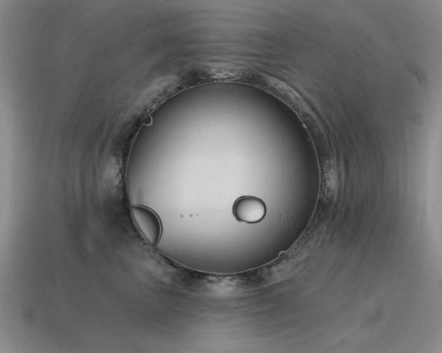 X0000115610667200911101428