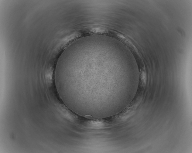 X0000115610668200911101428