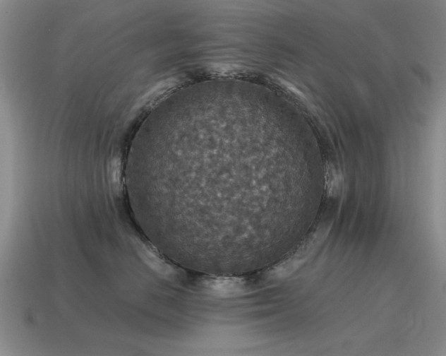 X0000115610670200911101428