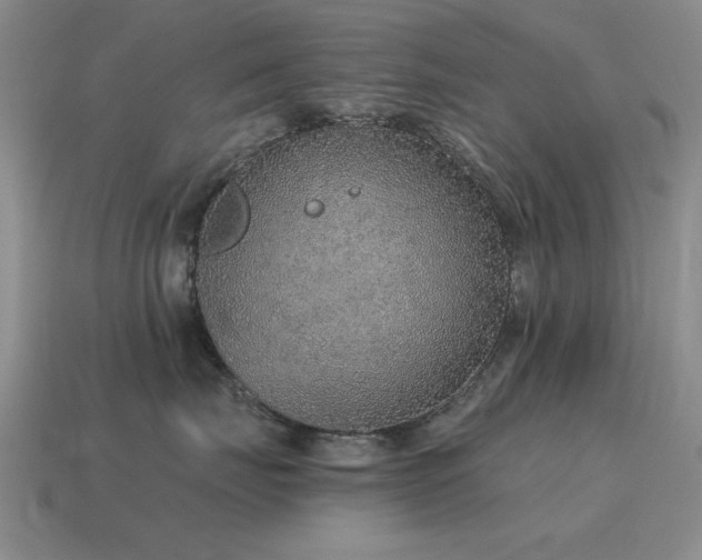 X0000115610671200911101428