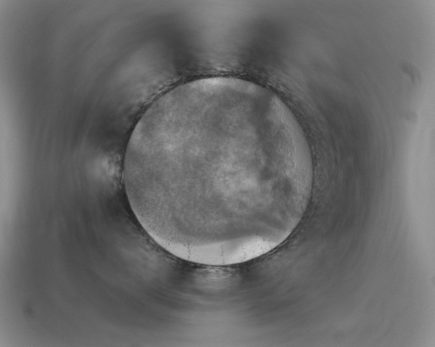 X0000115610672200911101428