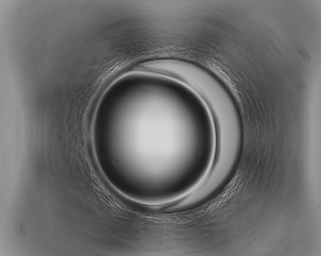 X0000115610673200911101428