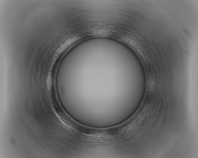 X0000115610674200911101428