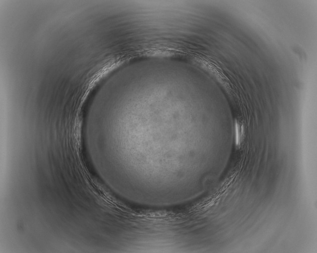 X0000115610675200911101428