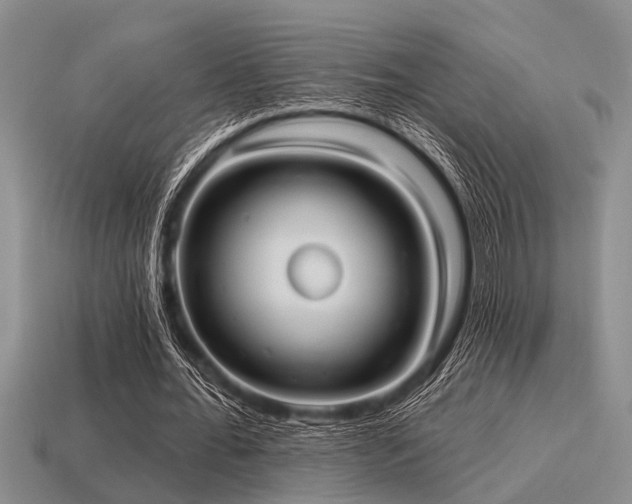 X0000115610676200911101428